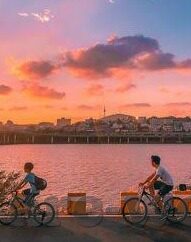 足球比分 188-足球比分背后的数字密码，解码188的传奇与启示